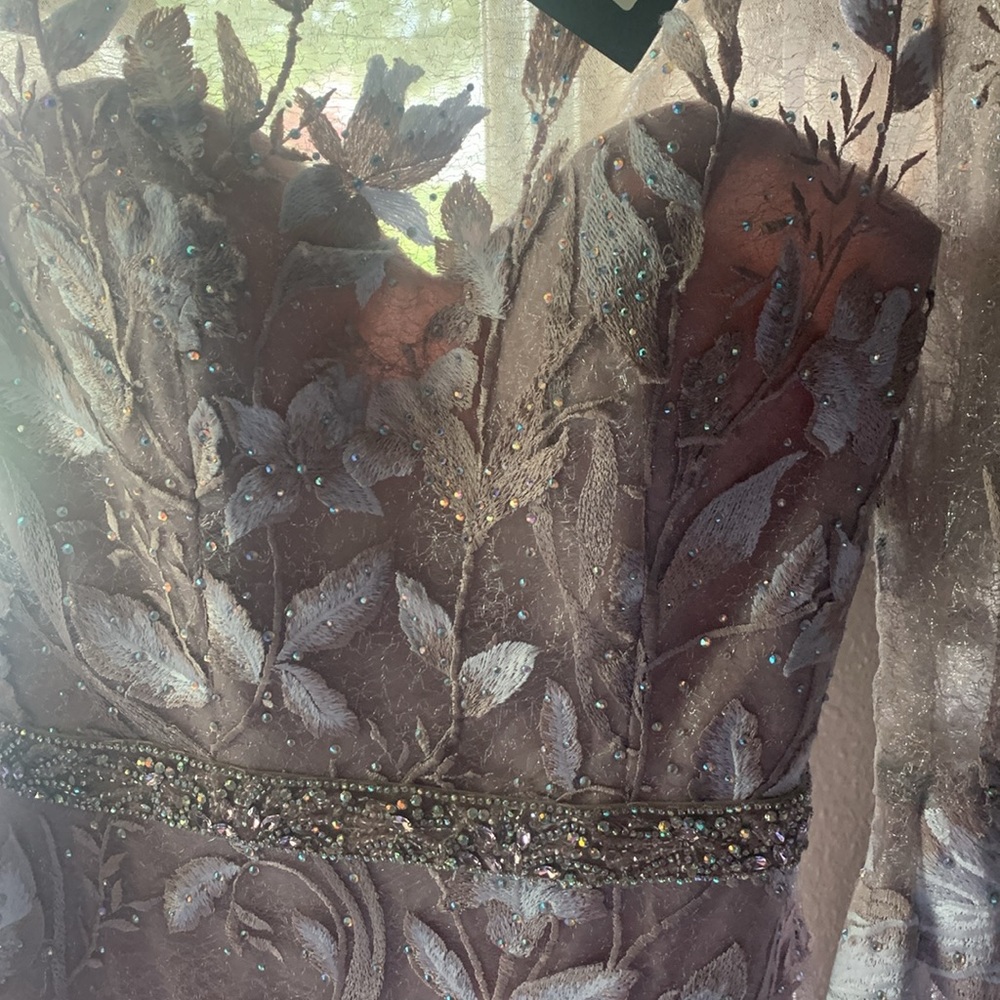 Special occasion Terani couture dress - Picture 4 of 5
